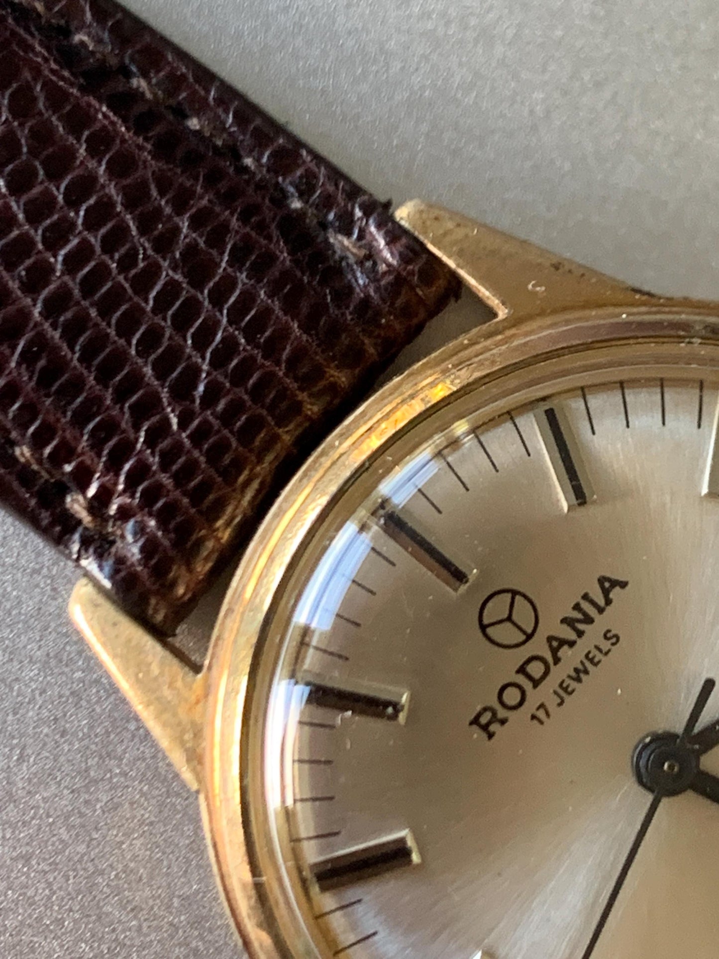 Rodania French/Swiss Made Late 60s Winder with NOS LARGE Hadley Roma Teju Lizard Strap. 33mm 17J Gold Tone w/Radiant Dial. Date. Excellent.
